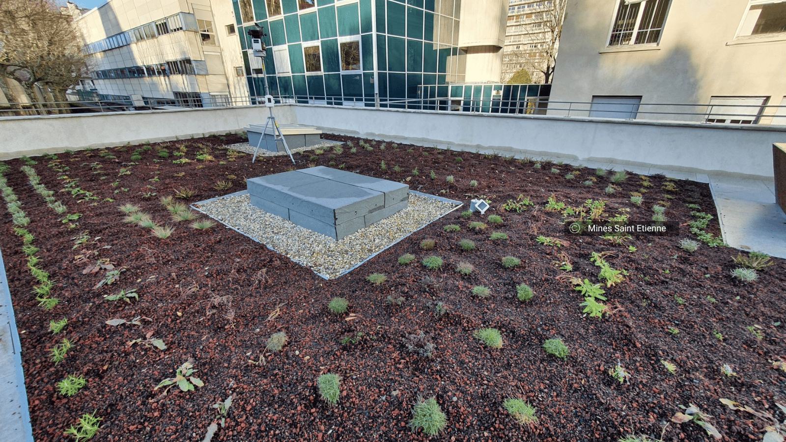 Image du EXPERIMENTATION D’UNE TOITURE TERRASSE VEGETALISEE ET D’UN JARDIN DE PLUIE URBAIN A L’ECOLE DES MINES